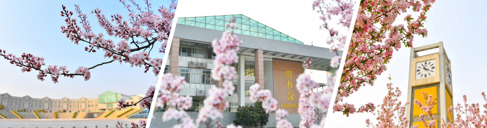 潍坊医学院旺财28(中国)官方网站
